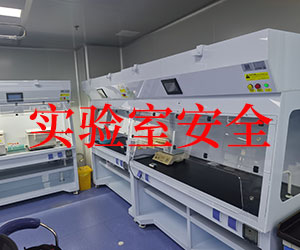 無管道凈氣型通風(fēng)柜是否真的安全無憂？